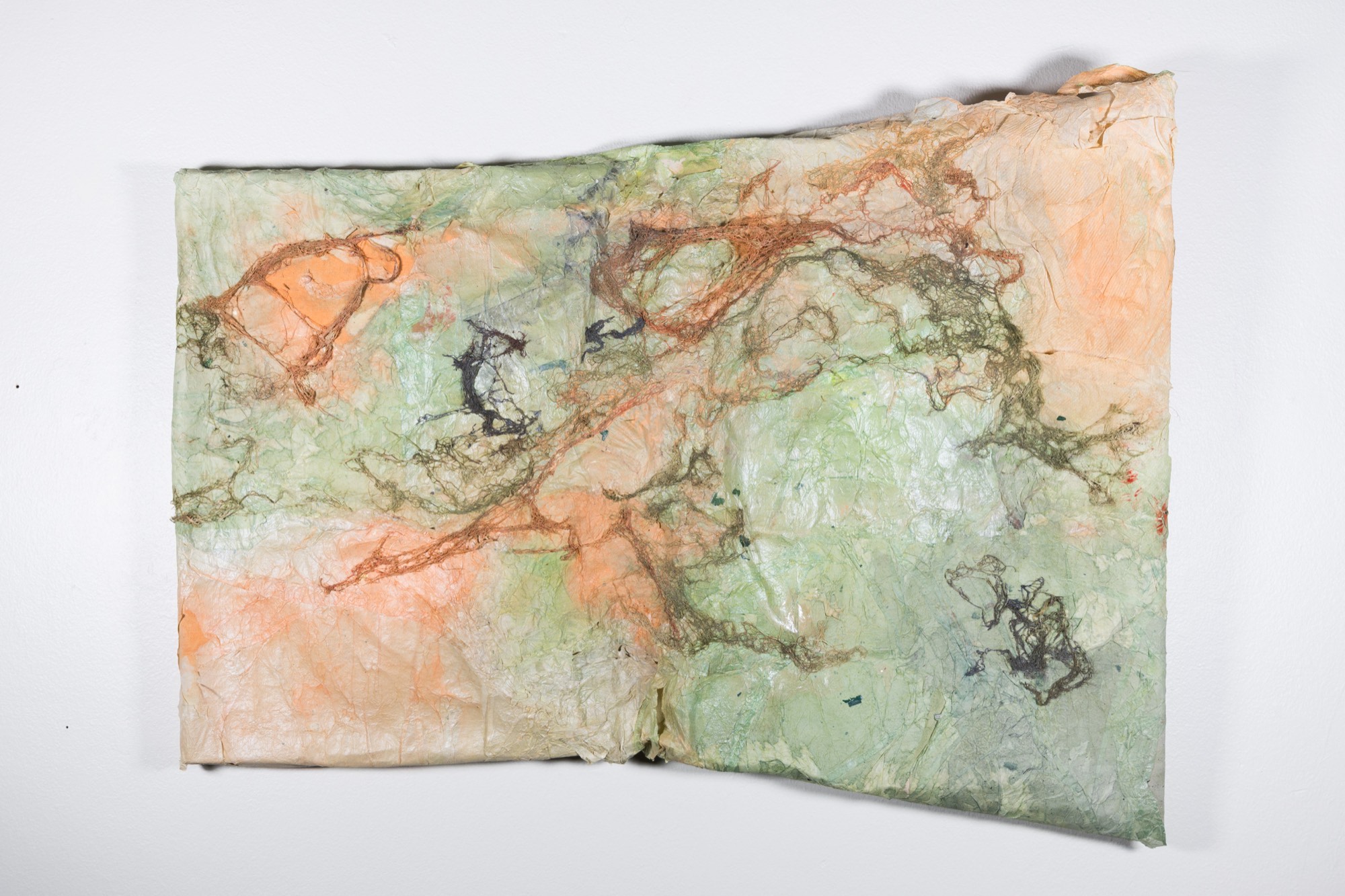 Grandmother Won’t Teach Me Bobbin Lace — pale green and peach paper panel with dark fibrous lines of lace lichen running across it