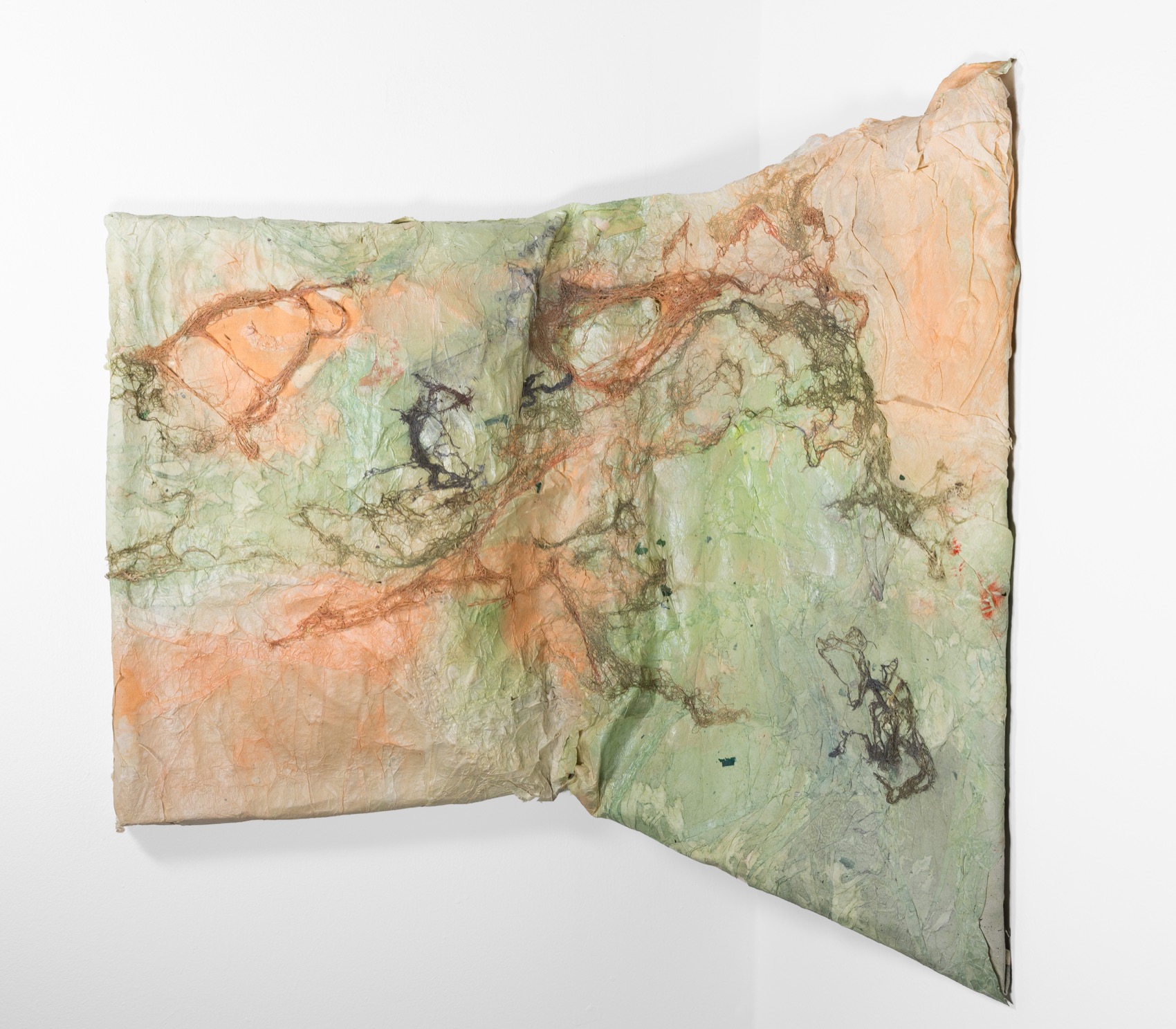 The work mounted across the corner of a room, pale green and peach paper folding at the corner, dark fibrous lace lichen threaded across it