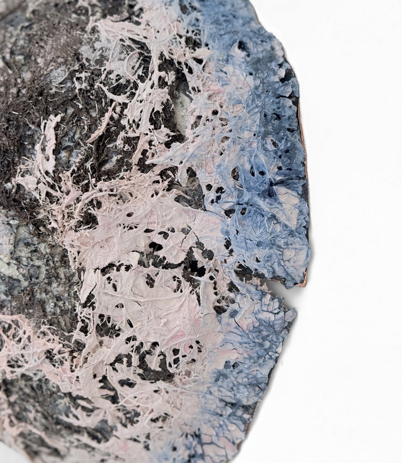 Detail of the porous encrusted surface