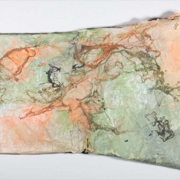 Grandmother Won’t Teach Me Bobbin Lace — pale green and peach paper panel with dark fibrous lines of lace lichen running across it